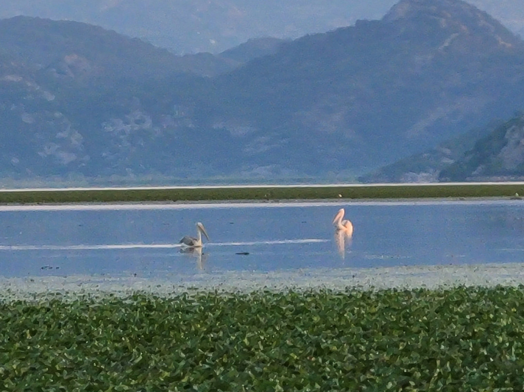 Nikena Eco Adventures-波德戈里察必去景点