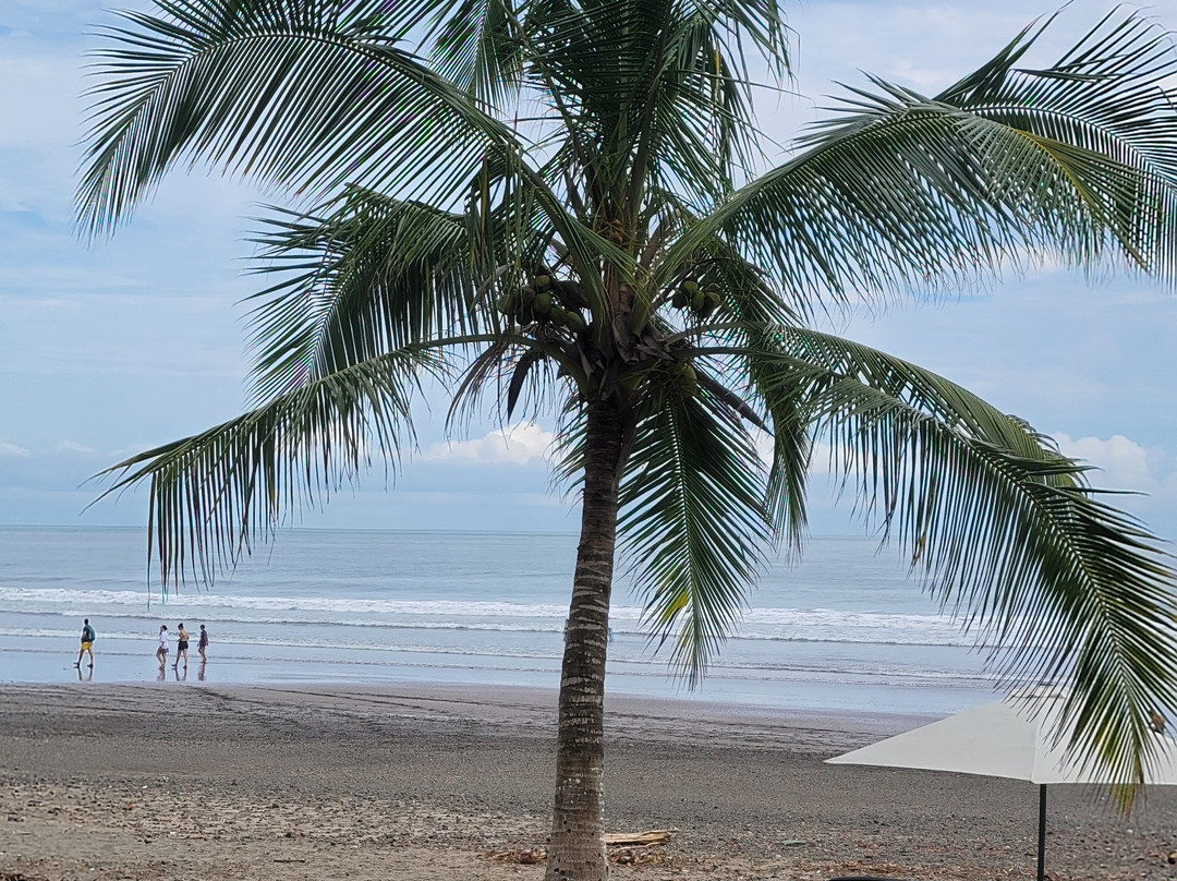 Jaco Walk Open Air Shopping Center-哈科必去景点