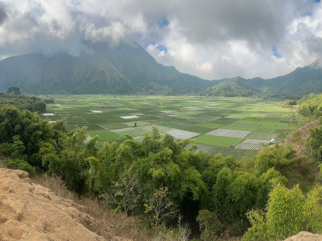 Selong Hill-龙目岛必去景点