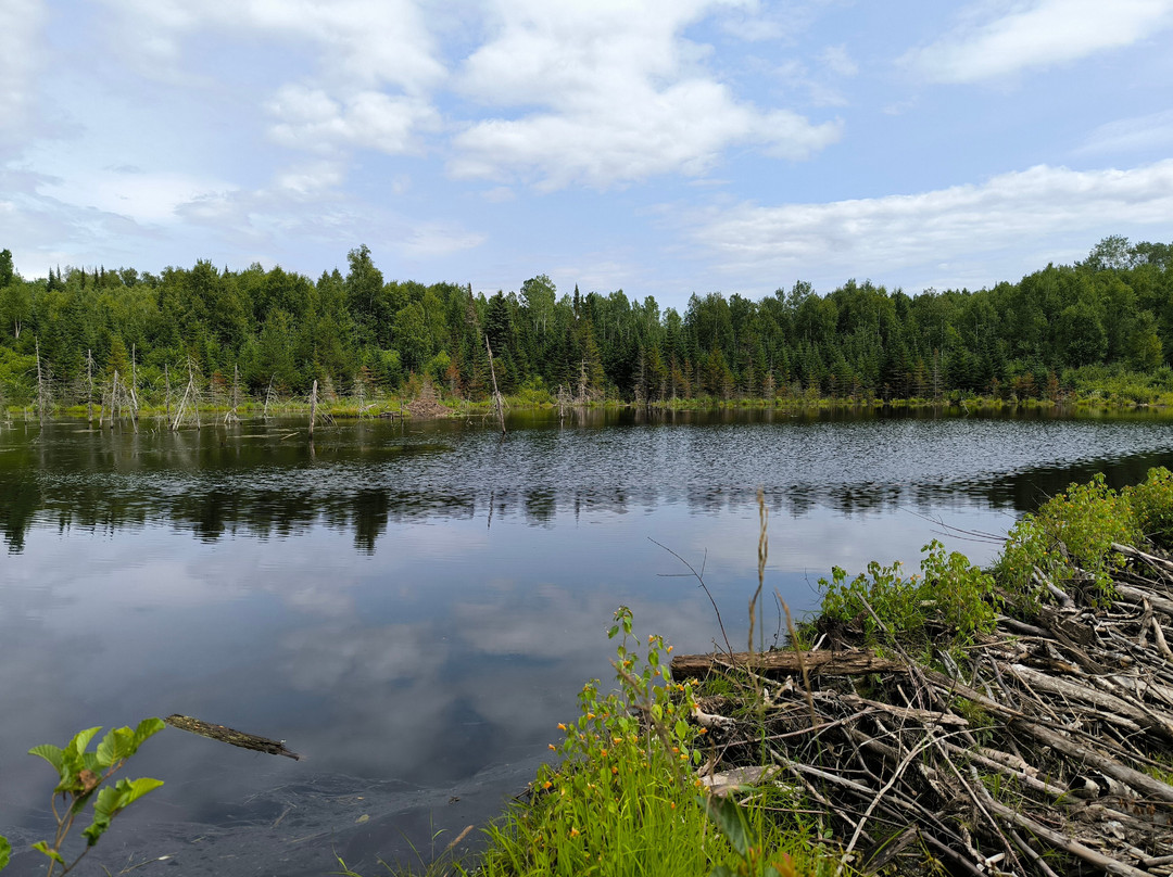 Centre d'experience skidoo Can-am Nord Expé-拉马尔拜必去景点