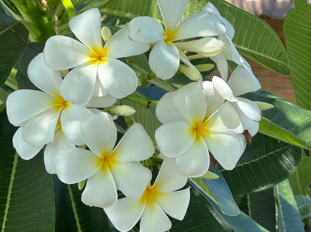 Bay Beach Hotel主图