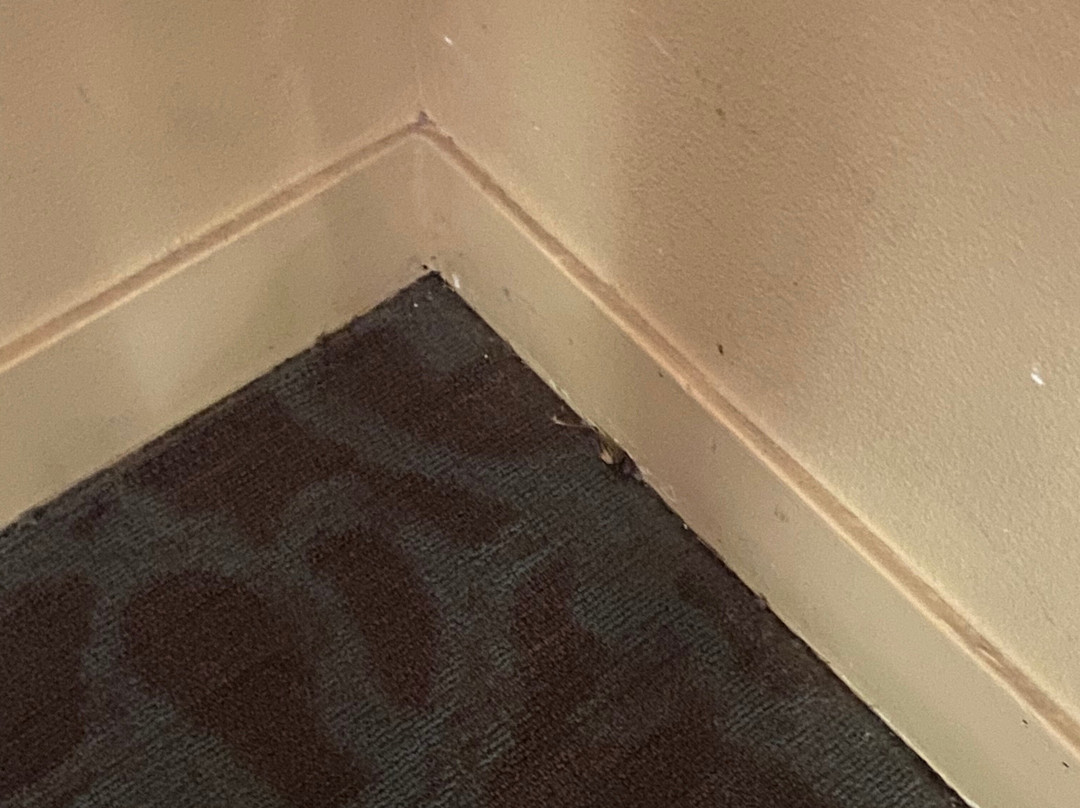 优胜美地瀑布山庄主图