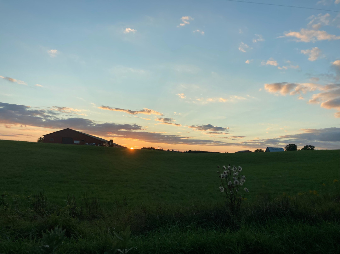 Whispering Hope Ranch Ministries Stables景点图片