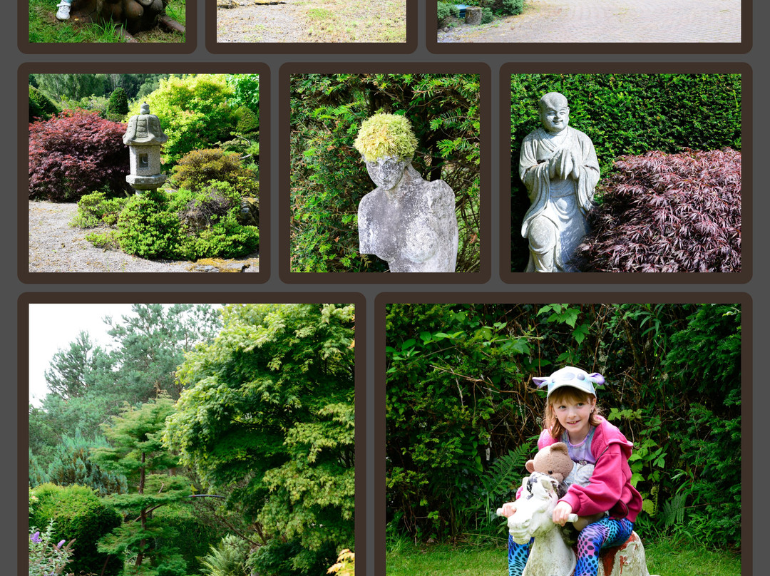 Conwy Valley Garden Maze景点图片