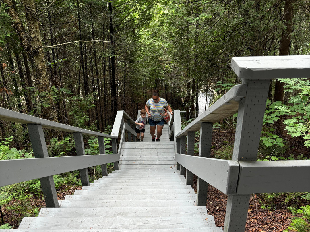 Grand Falls Gorge-Grand Falls必去景点