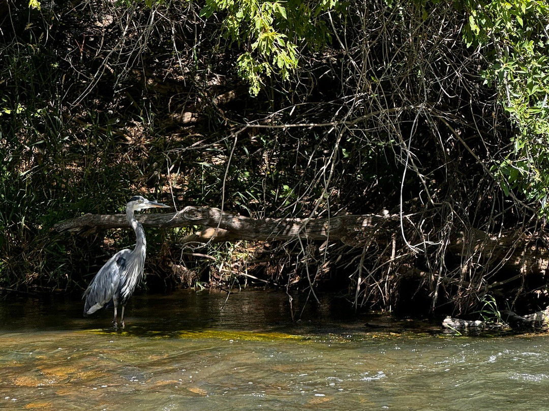 Destination Sports - Gear Rentals, Sales & Guides-Morgan必去景点