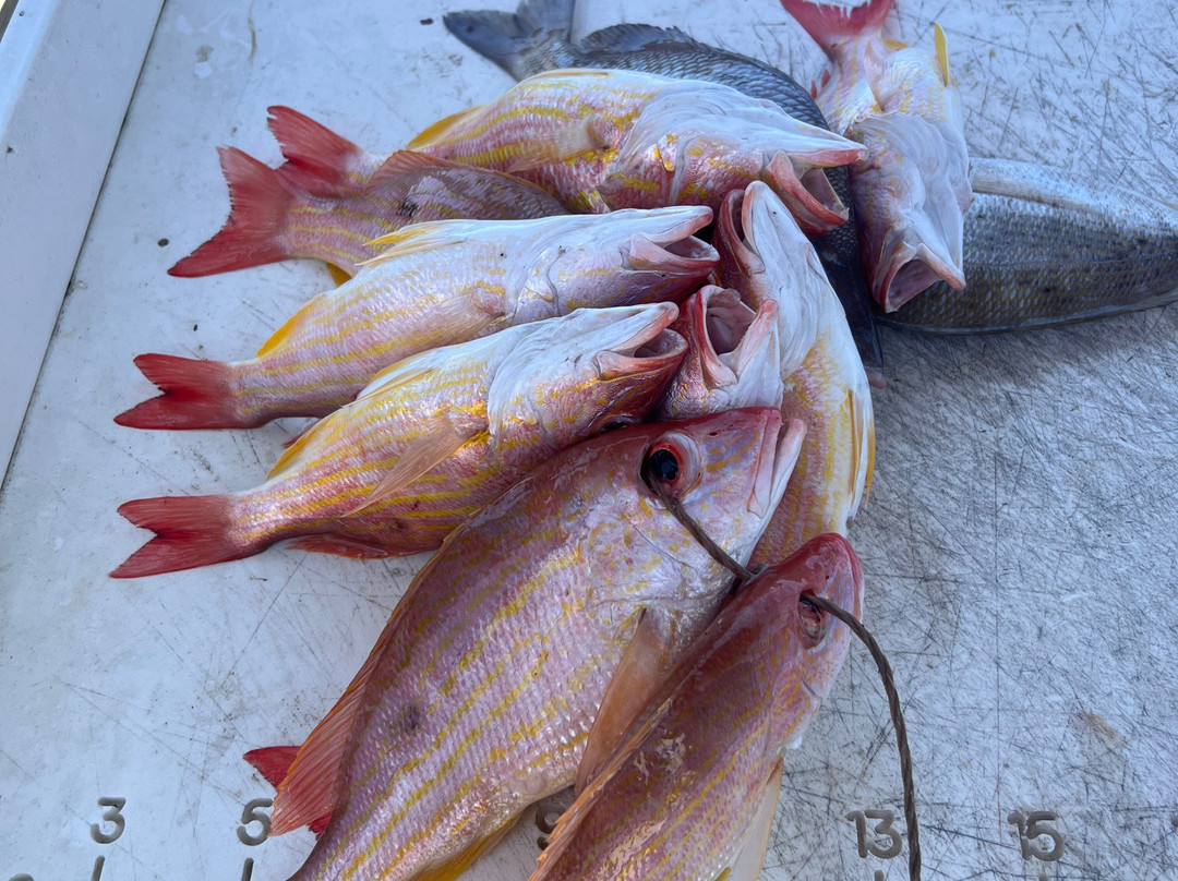 Reef Raider Fishing Charters-恩格尔伍德必去景点