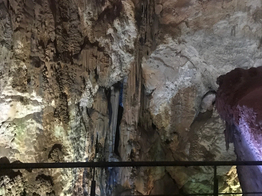 Cueva Del Canelobre景点图片