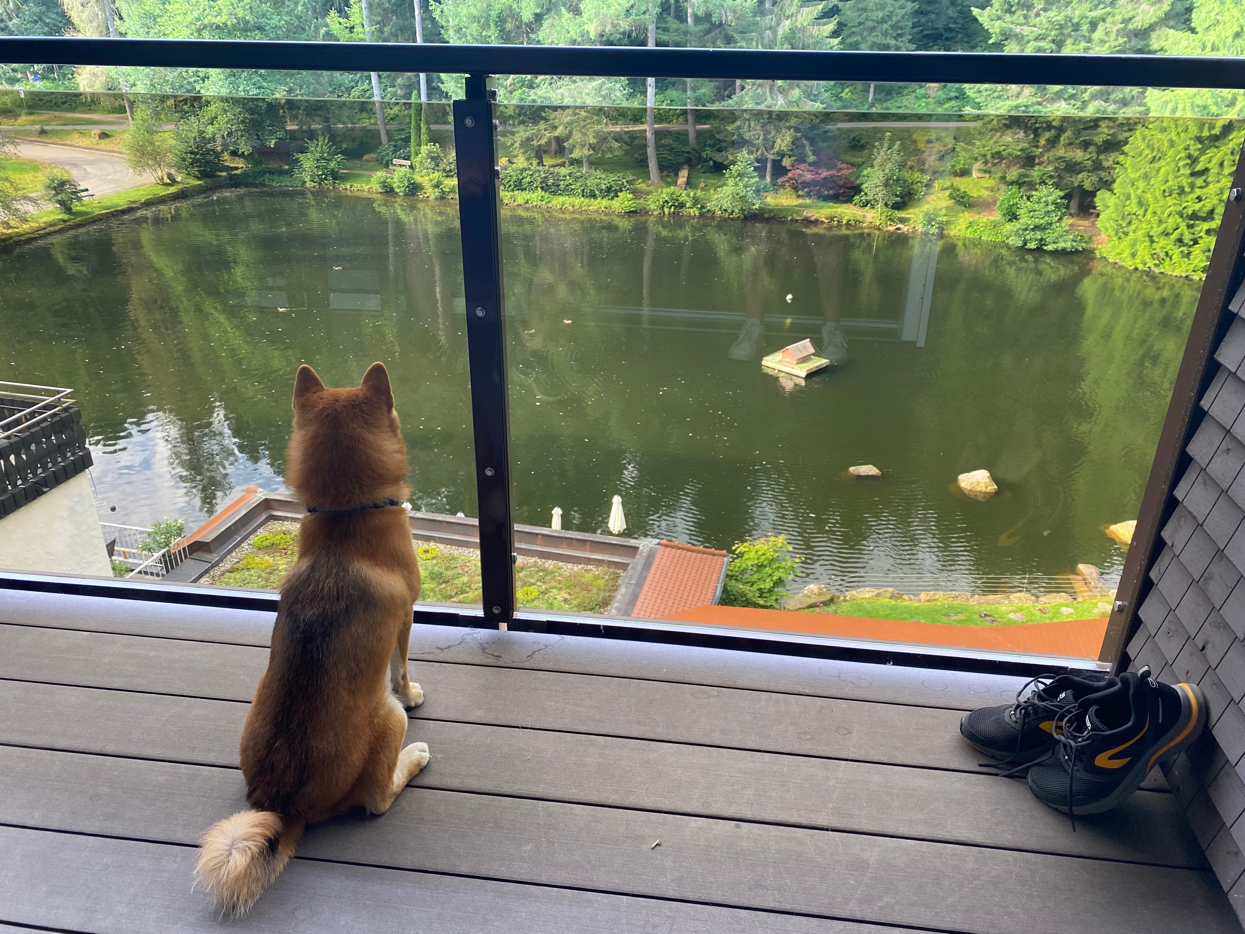 兰根沃德湖酒店-酒店景观