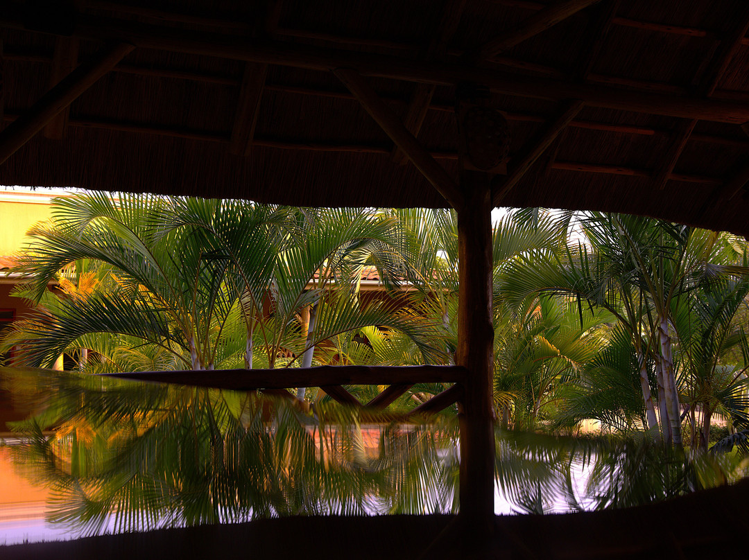 African Roots Guest House - Entebbe主图