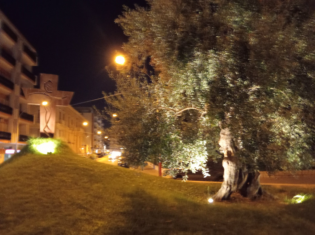 Museo Diocesano di Molfetta-莫尔费塔必去景点