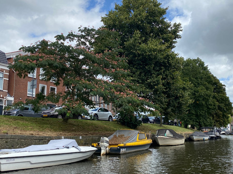 Smidtje Canal Cruises-哈勒姆必去景点