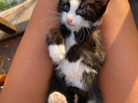 Dejavu Cafe Bar-卡斯必去景点