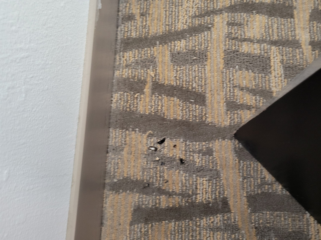 Cougar Land Motel主图