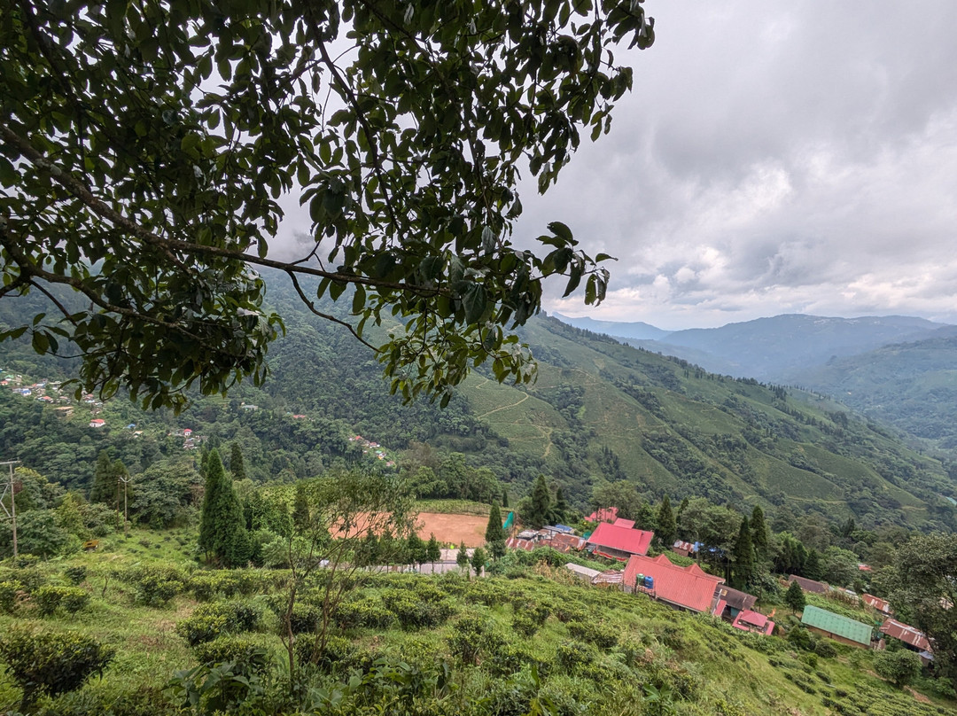 Boho Homestay, Rangbhang主图