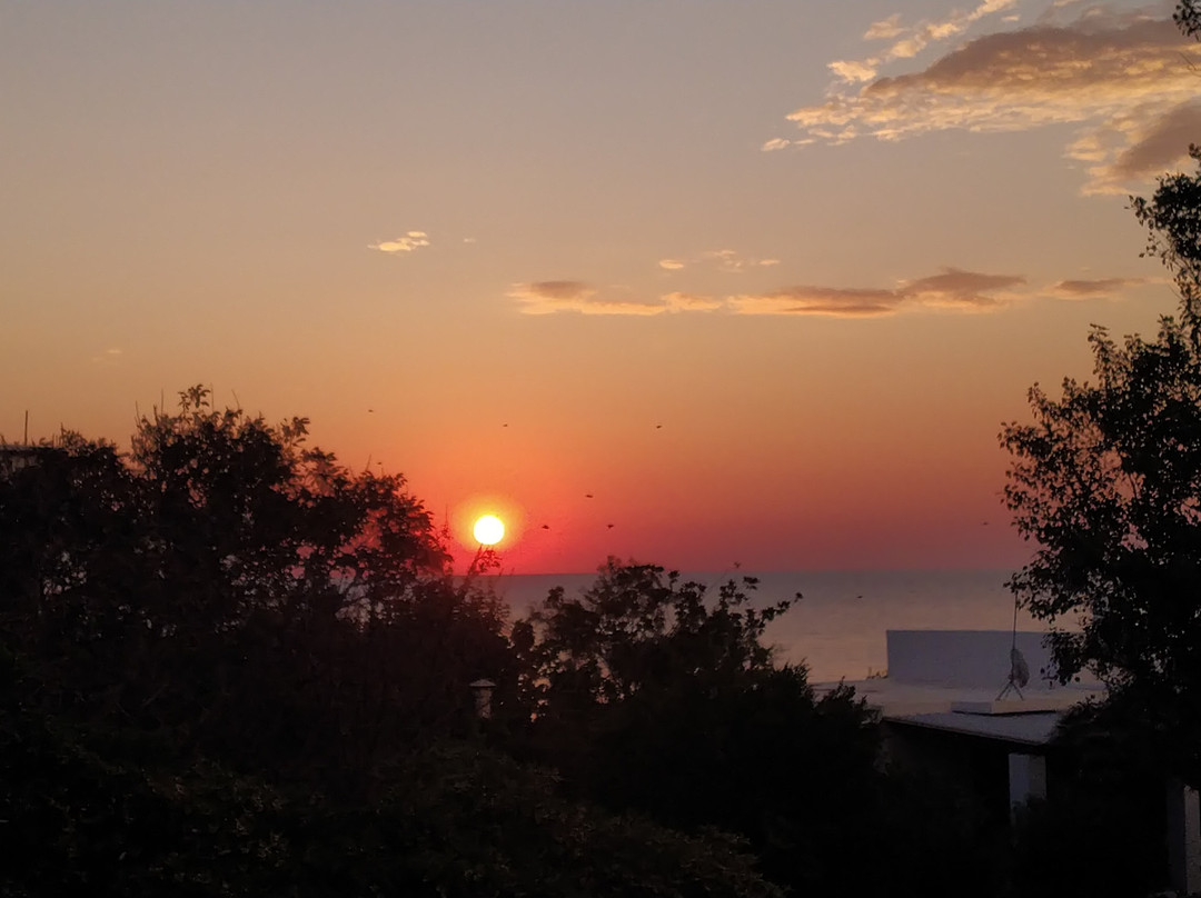 Mealos Apartments主图