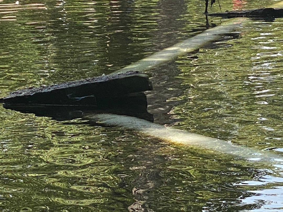Rolater Park‎-Cave Spring必去景点