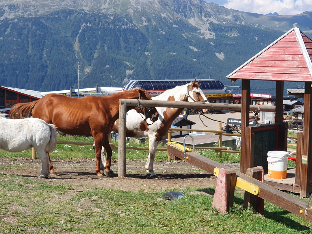盖罗盖德隆酒店主图