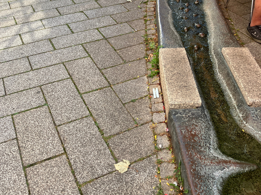 Hildesheim Altstadt-希尔德斯海姆必去景点