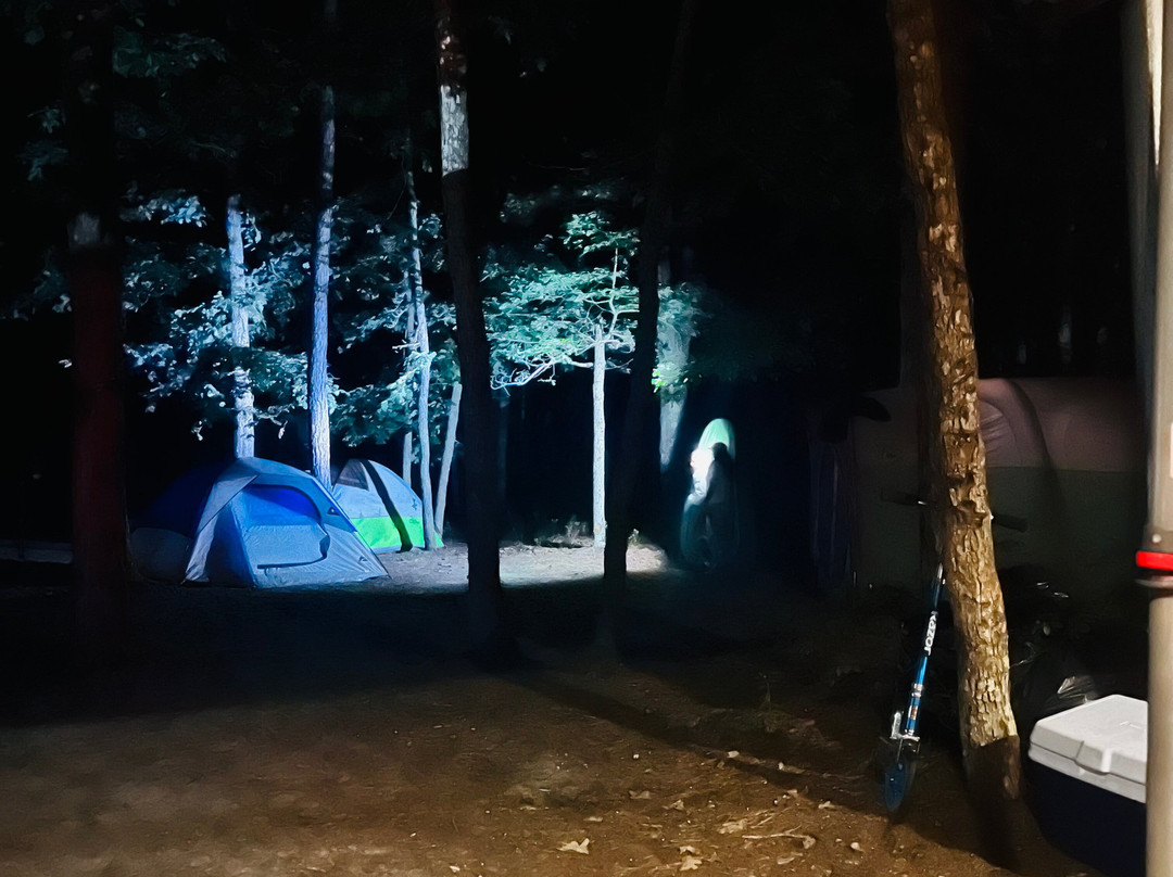 Bass River State Forest-Tuckerton必去景点