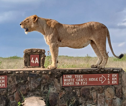 Kenya Tru Nomads-蒙巴萨必去景点