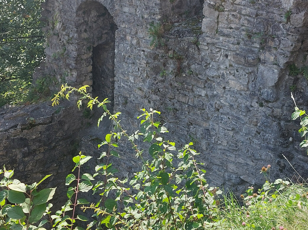 Unspunnen Ruins-维尔德斯维尔必去景点