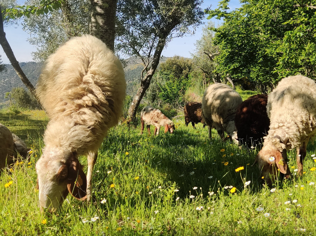 Quinta Do Luar-null必去景点