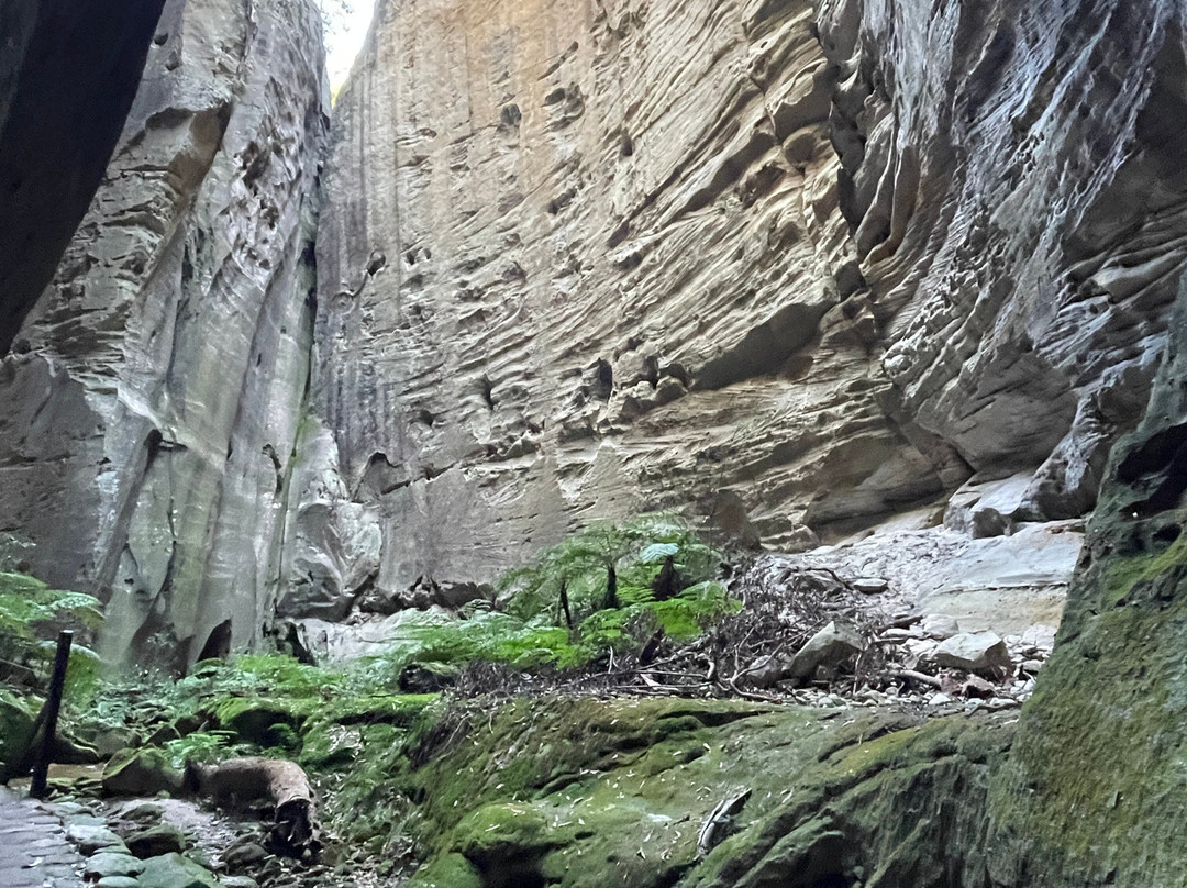 Central Queensland Nature Tours景点图片