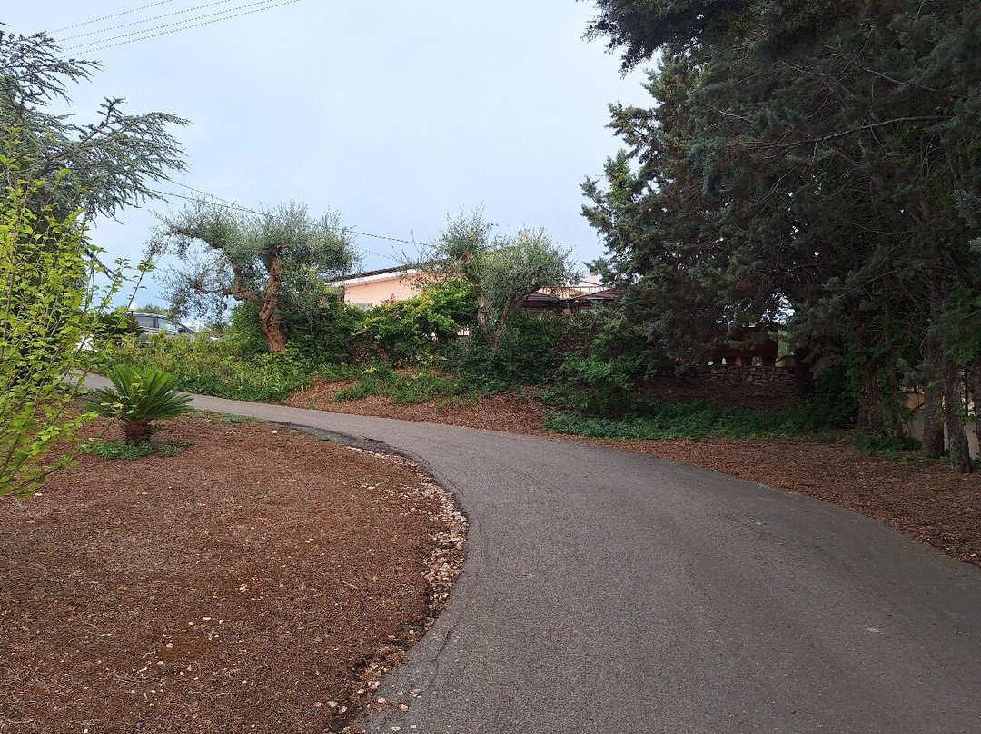 B&B Villa Lena主图
