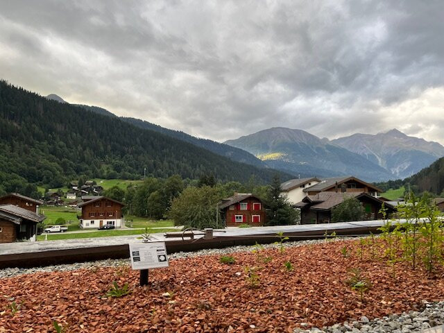 Hotel Alpenblick主图