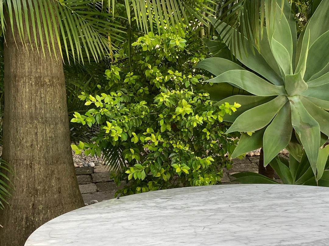 Anticavilla Restaurant, Hotel & Spa主图