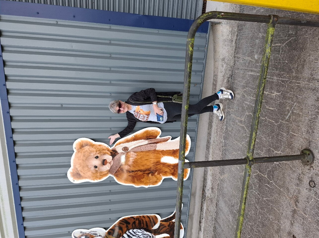 Charlie Bears Gallery & Shop-朗塞斯顿必去景点