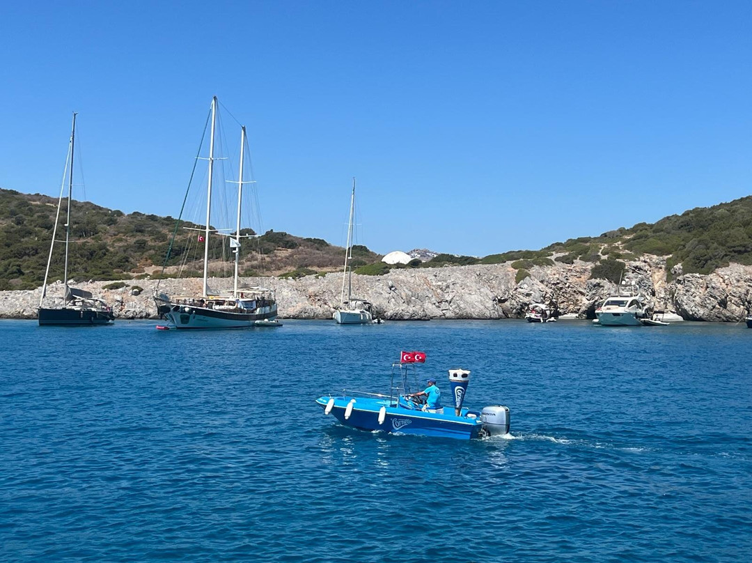 Outback Boat Trips景点图片