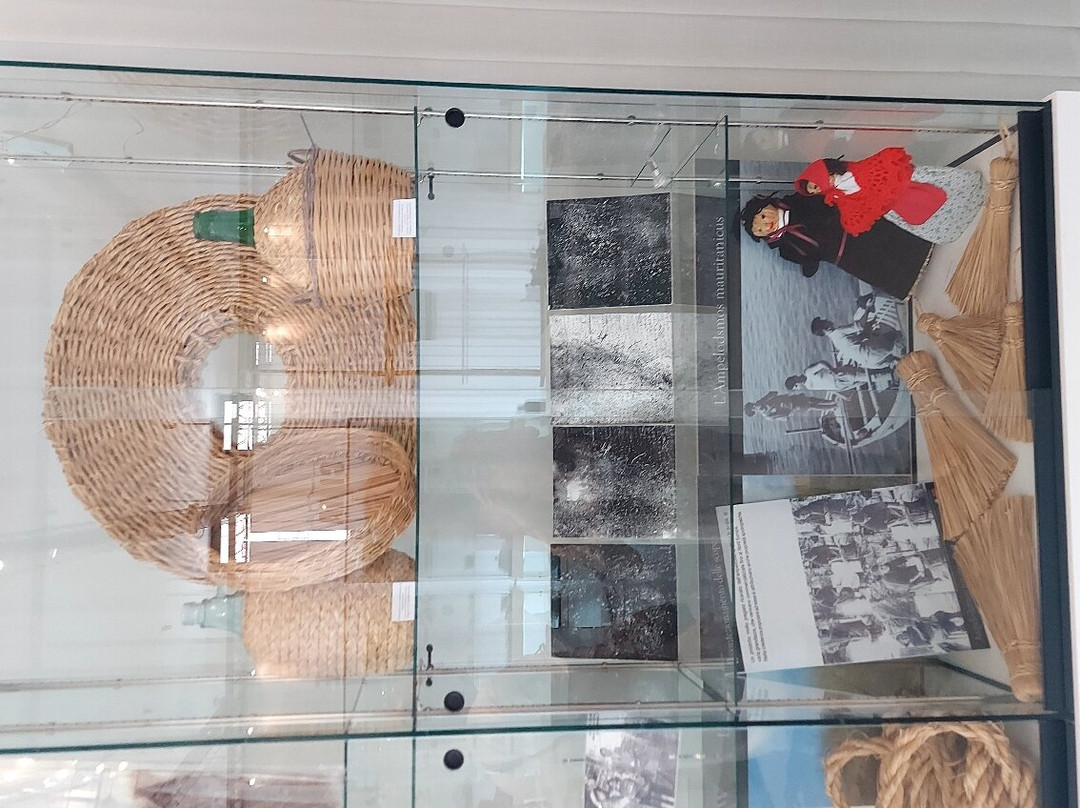 Museo Del Suolo景点图片