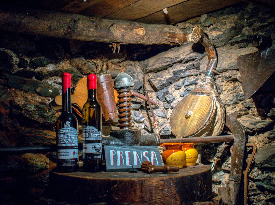 Oleosetin Tienda - Museo景点图片
