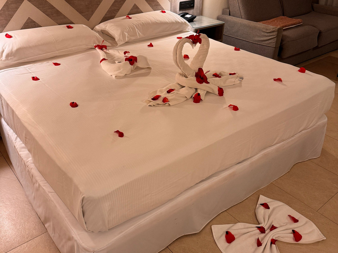 Hotel Riu Baobab主图
