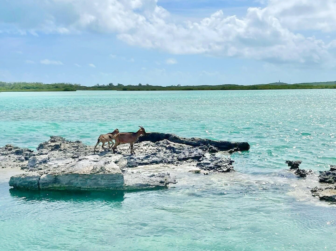 Out-Island Explorers Day Charters-George Town必去景点