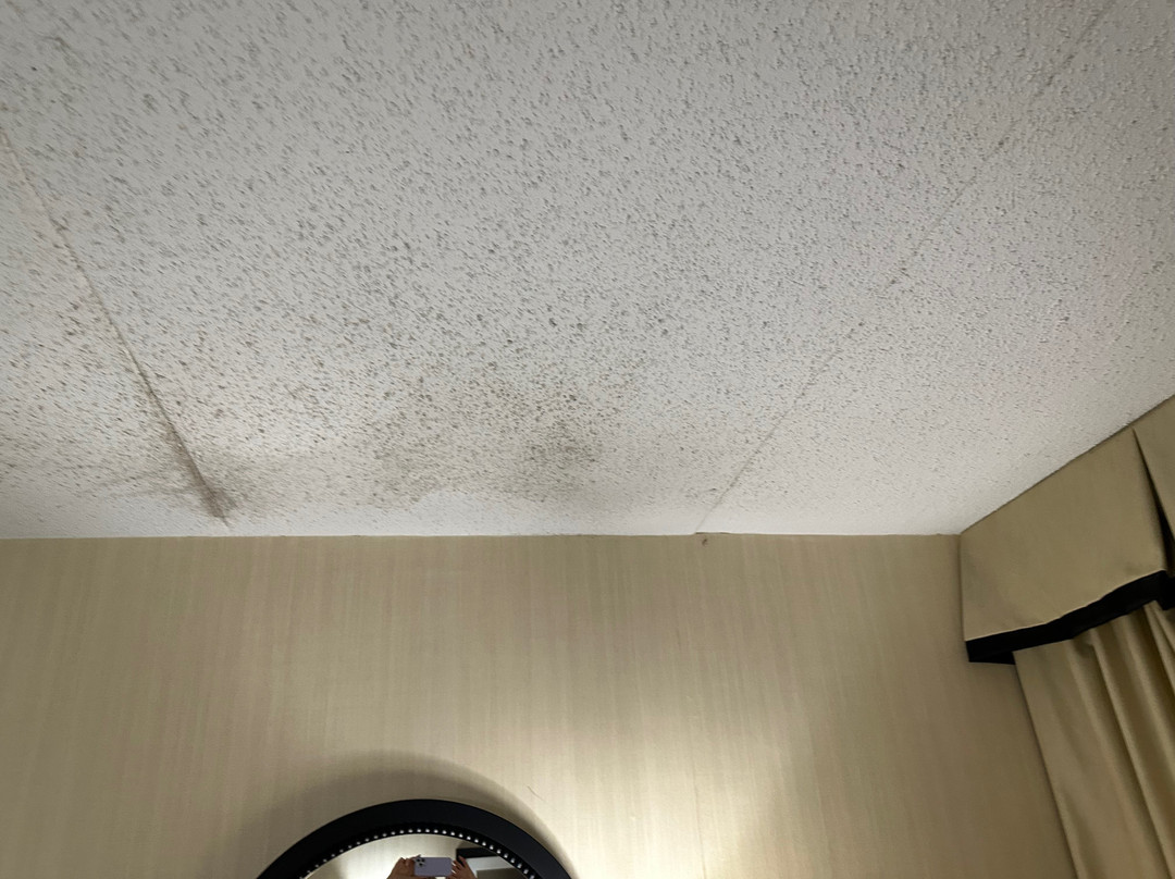 Wingate by Wyndham Springfield主图