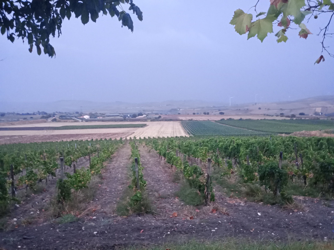 Cantine D'Uva-Larino必去景点