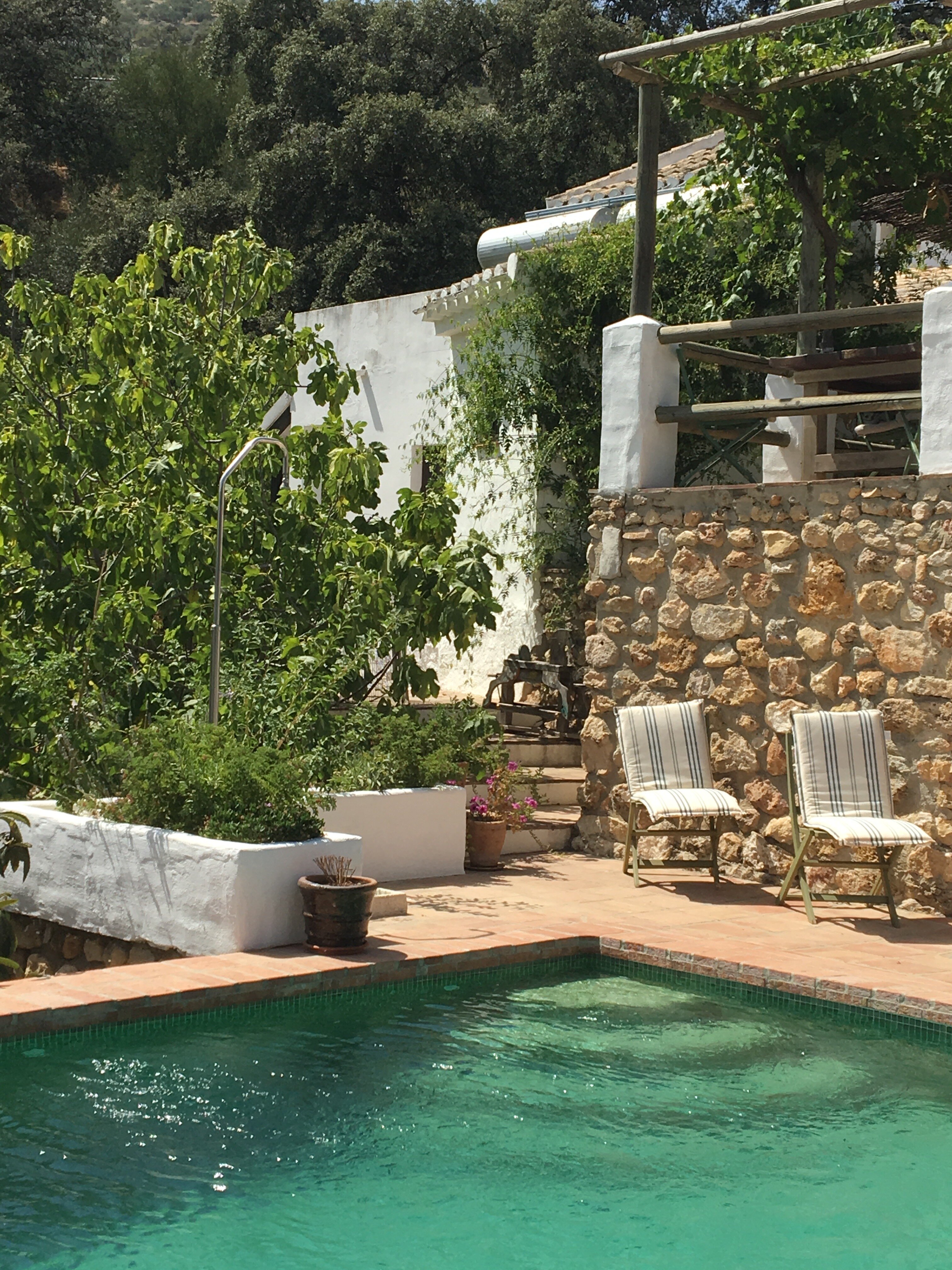 Gourmet B&B Finca Las Encinas-泳池
