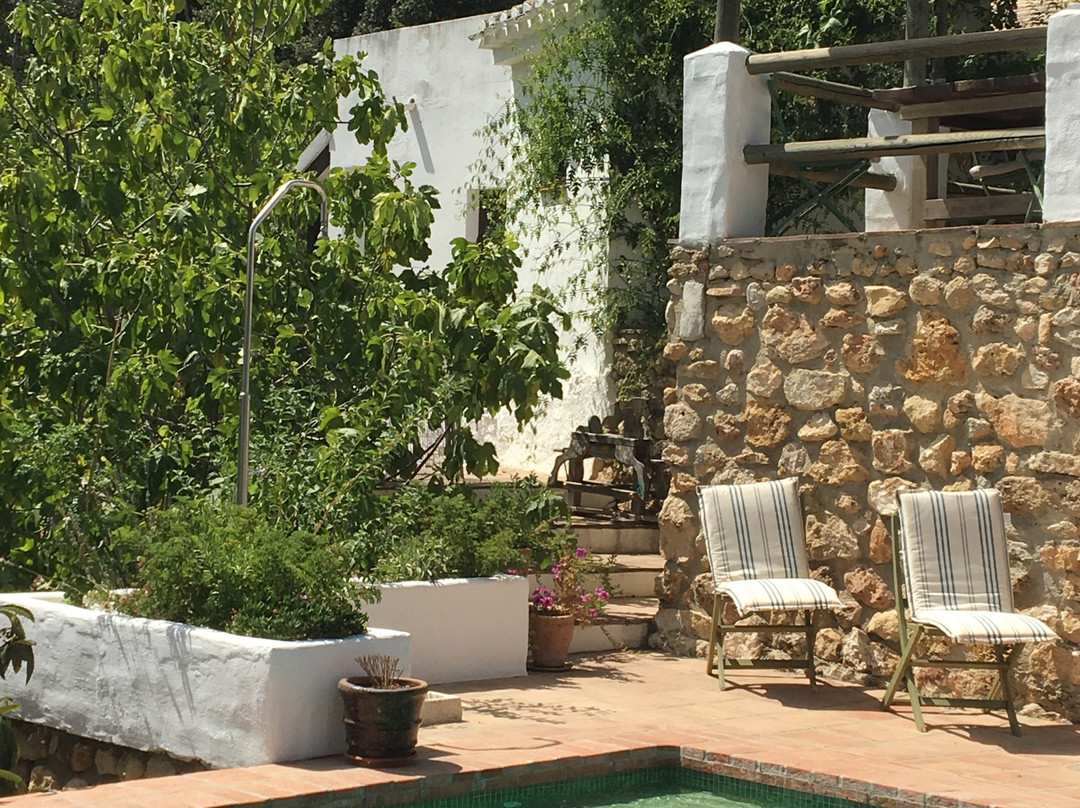 Gourmet B&B Finca Las Encinas主图