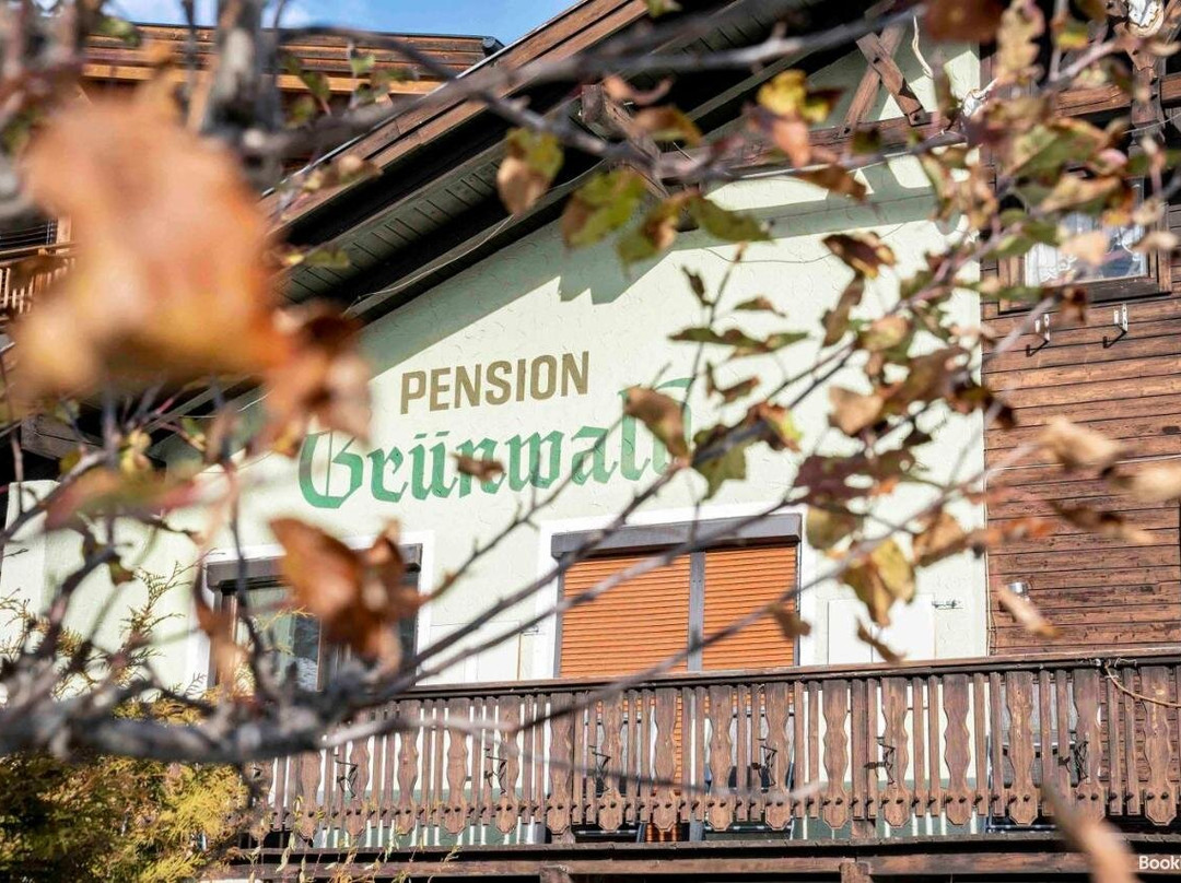 Pension Grunwald主图