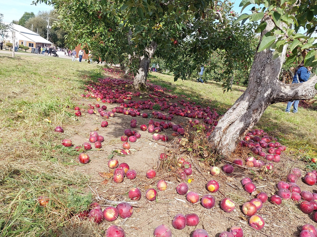 La Ferme Genest-Saint-Nicolas必去景点