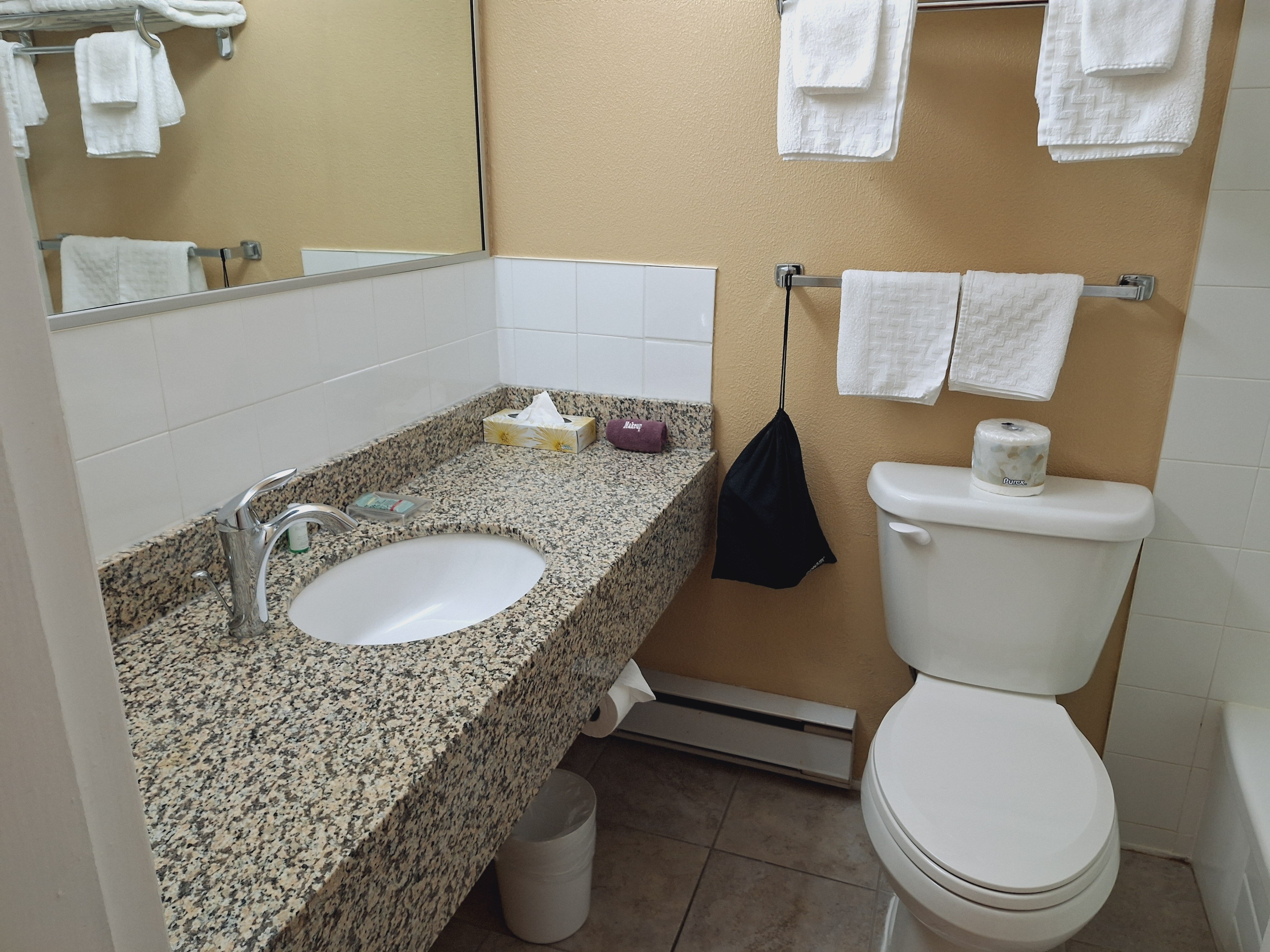 Best Western Inn At Penticton-浴室