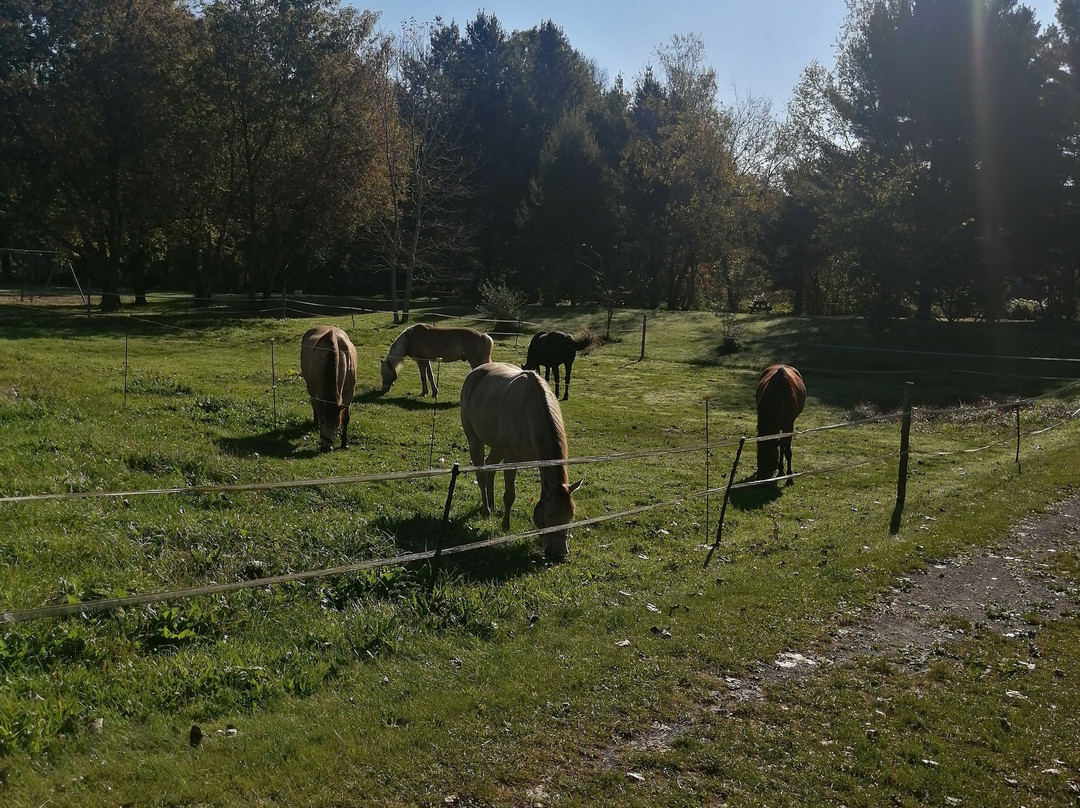 Camping et Ferme Pégasus主图