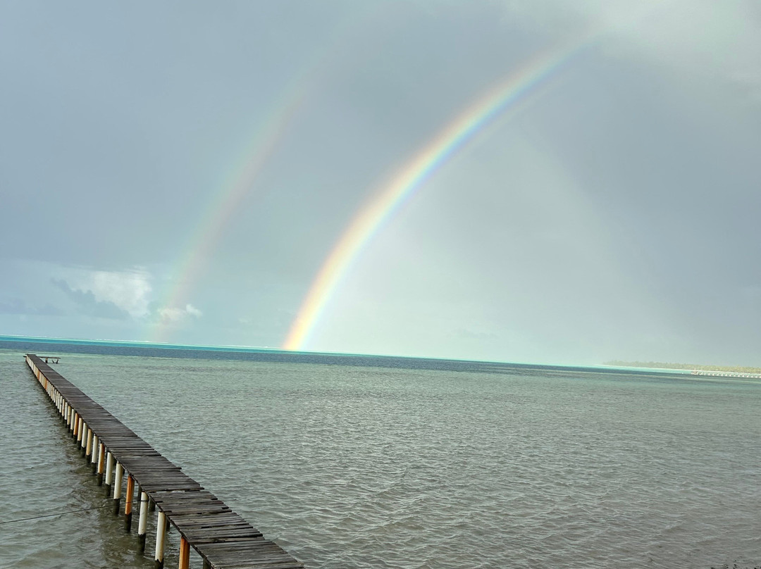 Pension Tautiare Village主图