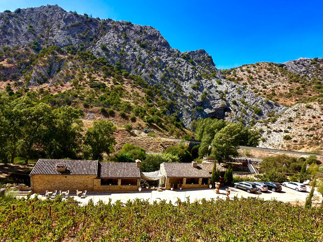 Eco-Hotel Cueva del Gato主图