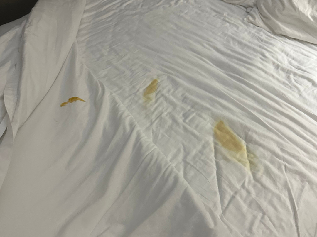 Best Western Plus Clemson Hotel & Conference Center主图