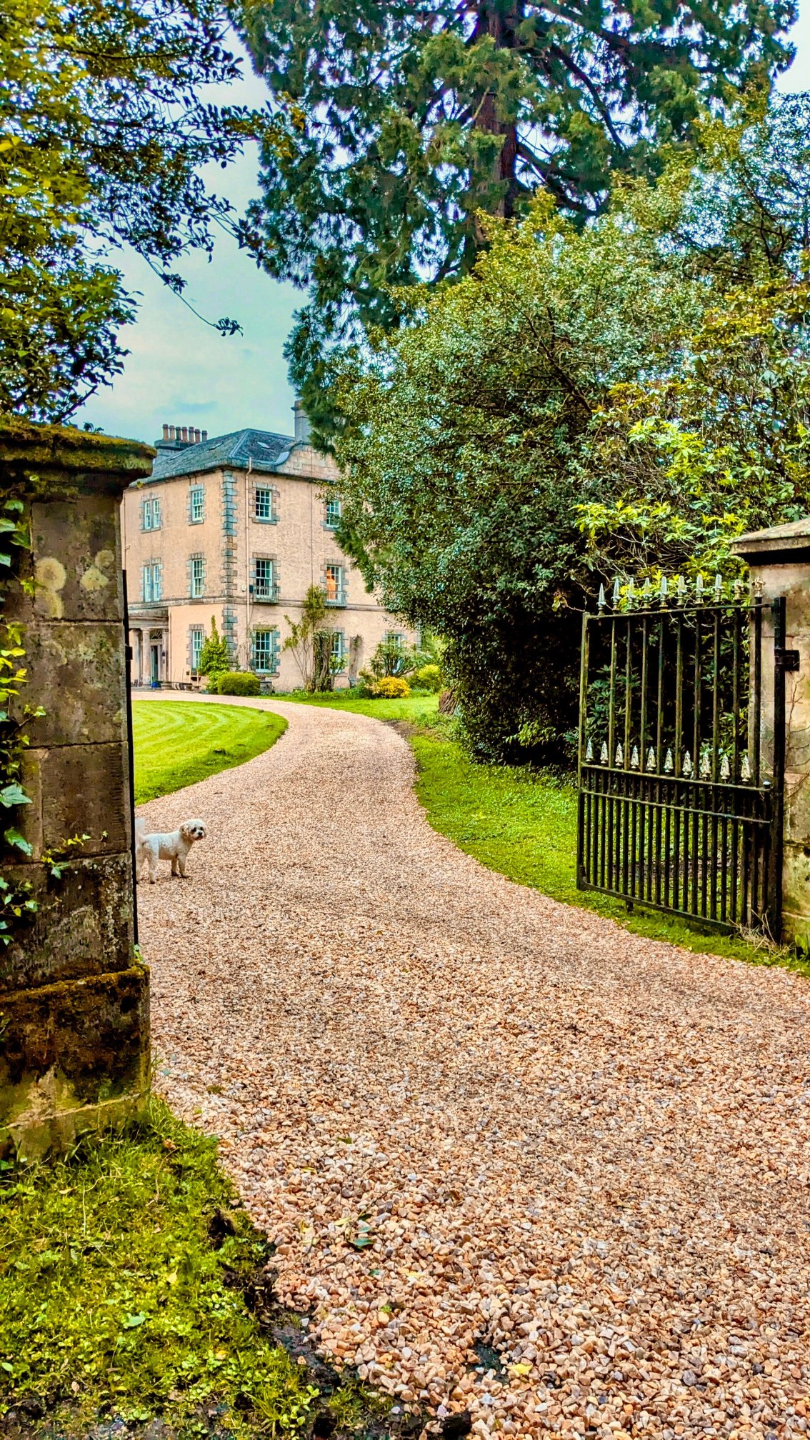 Powis House Estate-浴室