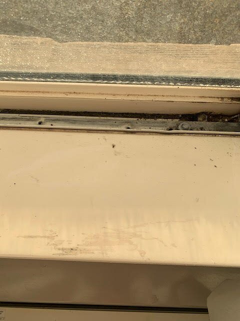 Garner Hotel Longview South By IHG主图